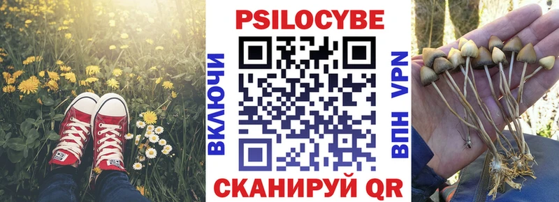Галлюциногенные грибы мухоморы  Старица 